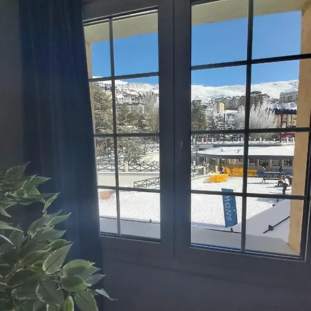 Bed And Snow Family * Sierra Nevada