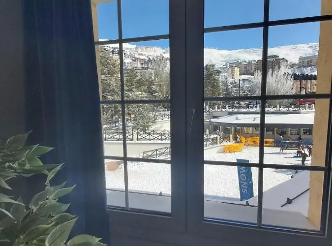 Bed And Snow Family * Sierra Nevada