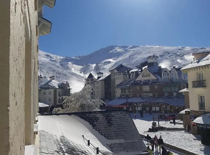 Bed And Snow Family * Sierra Nevada