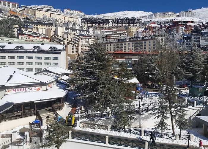 Bed And Snow Family * Sierra Nevada