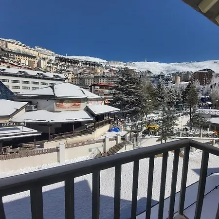 Bed And Snow Family * Sierra Nevada